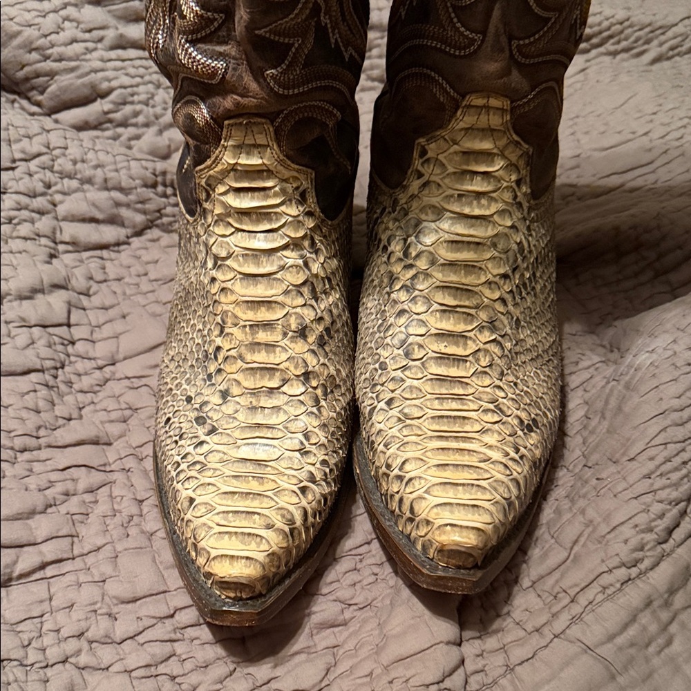 Dan Post Python Print Cowboy Boots - Brown And Cr… - image 1